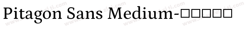 Pitagon Sans Medium字体转换